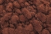 Pampa (67 rost)